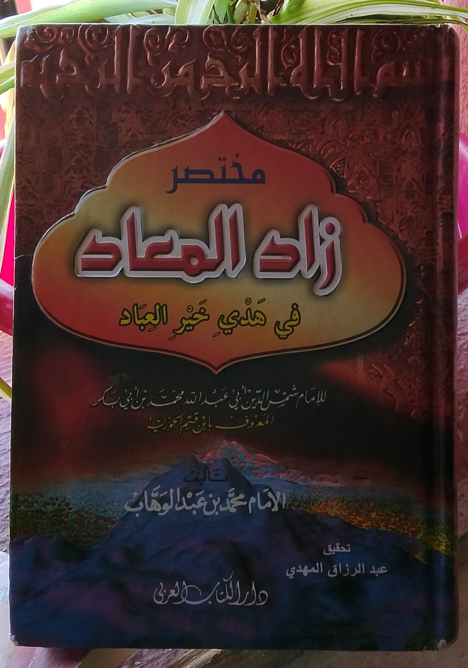 مختصر زاد المعاد في هدي خير العباد